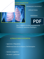 Patología pulmonar: anomalías congénitas y enfermedades adquiridas