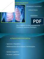 Atelectasia 2014