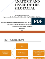 Bone Anatomy and Soft Tissue of Maxilofacial-FPR-Windy (1)