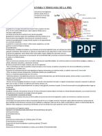 Anatomia y Fisiologia