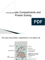 Intracelularni Transport