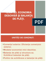 258373389-Tema-13-Economia-Deschisa-Și-Balanța-de-Plăți (1)