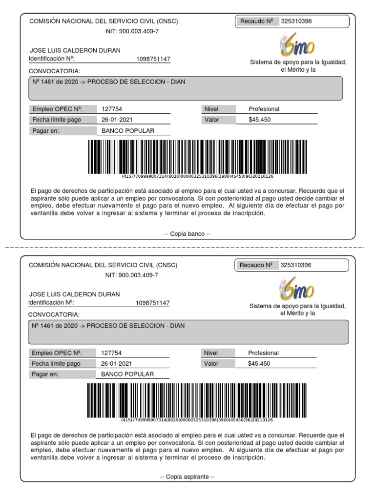 Recibo de Pago Dian | PDF