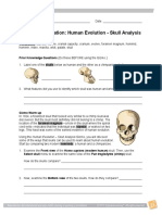 Human Evolution SE Skull Analysis Gizmo