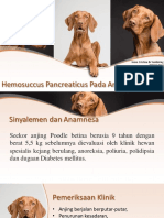 Hemosoccus Pancreaticus Pada Anjing Rene