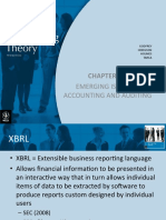 Emerging Issues in Accounting and Auditing: XBRL, Fair Value, Sustainability