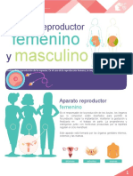 M16 - S3 - Sistema Reproductor Femenino y Masculino