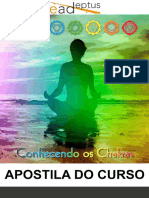 Apostila Conhecendo Os Chakras