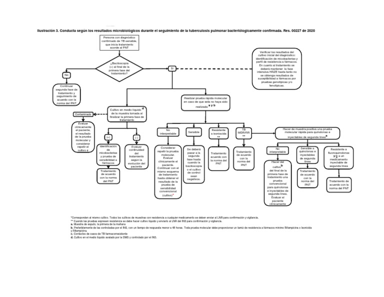 algoritmo-de-seguimiento-tb-pdf-tuberculosis-enfermedades-y