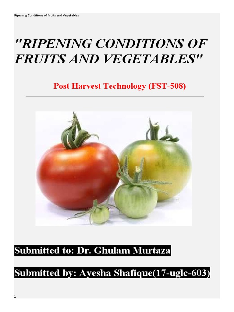 RIPENING CONDITIONS OF FRUITS AND VEGETABLES-post Harvest Technology ...