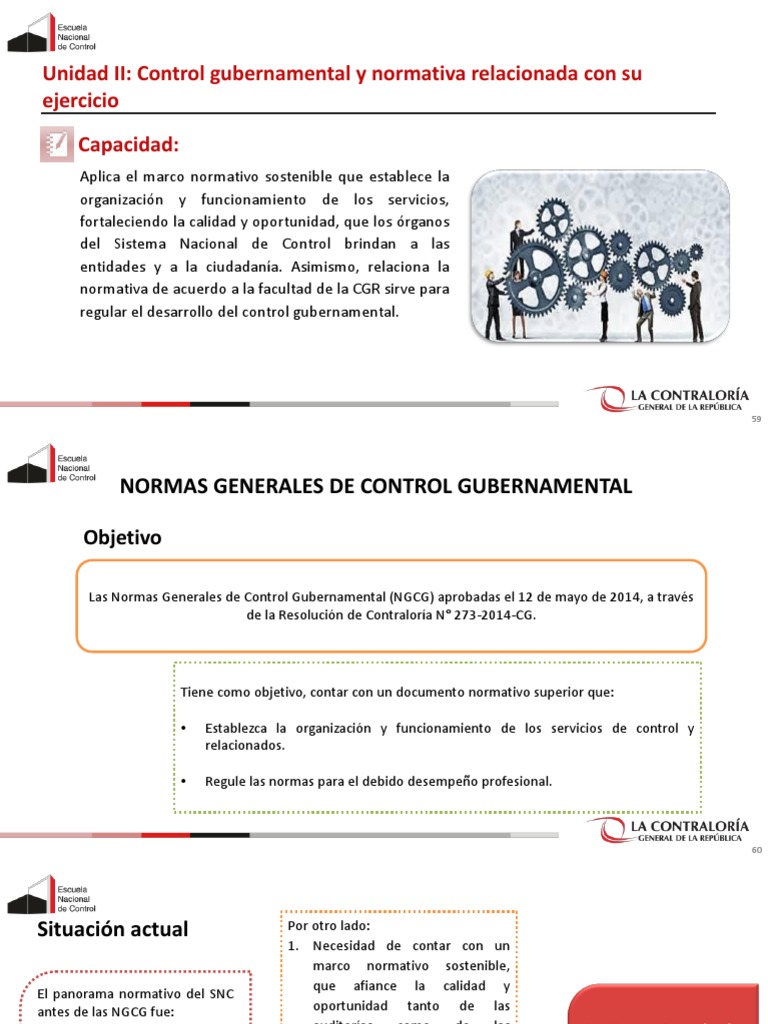 Normas Generales de Control Gubernamental | PDF | Planificación | Auditoría