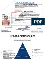 Historia Natural de La TBC