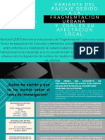 Variante Del Paisaje Debido A La Fragmentacion Urbana y Su Cual Es Su Afectacion Local.