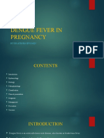 Dengue Fever in Pregnancy