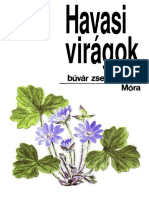 Kósa-F.gyurkó - Havasi Virágok