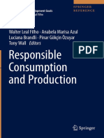 Responsible Consumption and Production 2020