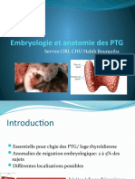 Embryo-anatomie des PTG