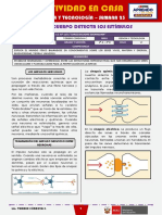 SEMANA 23 - NUESTRO CUERPO DETECTA LOS ESTÍMULOS (2do CIENCIA Y TECNOLOGÍA)