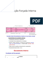 Conveccao Forcada Interna