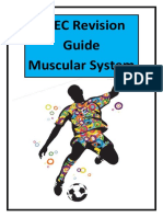 BTEC Sport Level 3 Revision Guide Muscular System