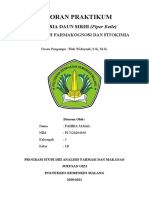 LAPORAN PRAKTIKUM SIMPLISIA Daun Sirih FARMAKOGNOSI & FITOKIMIA