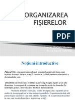 Organizarea-Fișierelor Tic - Pipp 2017