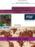 Café, Cana de Açúcar e Mandioca: História, Importância Econômica e Exigências Climáticas