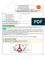 Guía de evaluación macroscópica de drogas vegetales