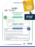 Cuadernillo-Cuestionariosauxiliares-10-1