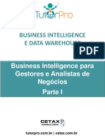 Business Intelligence Para Gestores e Analistas de Negócios Parte I