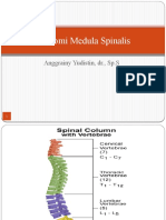 6 Anatomi MedSpin, CMT, AMC, NB