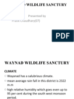 Waynad Wildlife Sanctury