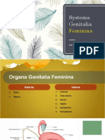 Systema Genitalia Feminina 2019