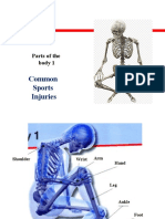 Parts of The Body I