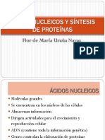 ACIDOS_NUCLEICOS_Y_SINTESIS_DE_PROTEINAS