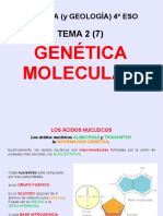 Geneticamolecular 150604165925 Lva1 App6892