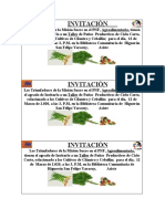 Invitacion Al Taller de Coclo Corto