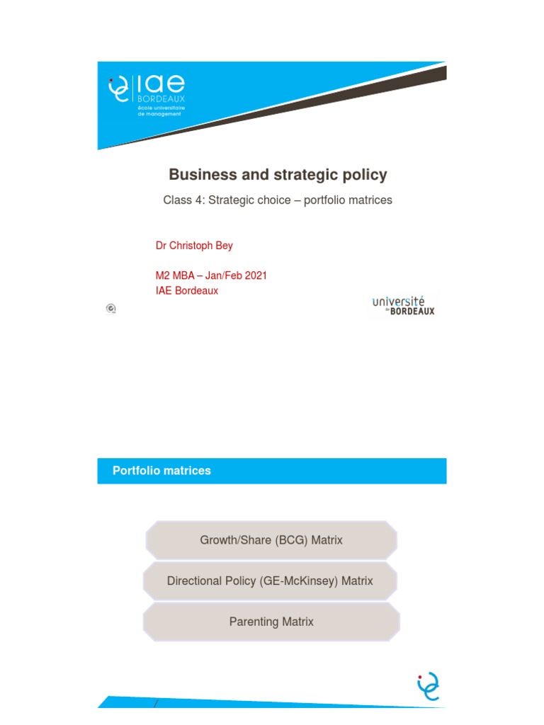 Strategic Portfolio Analysis and Management Tools PDF Business