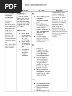 Fdar - Schizophrenia Jan 11-13