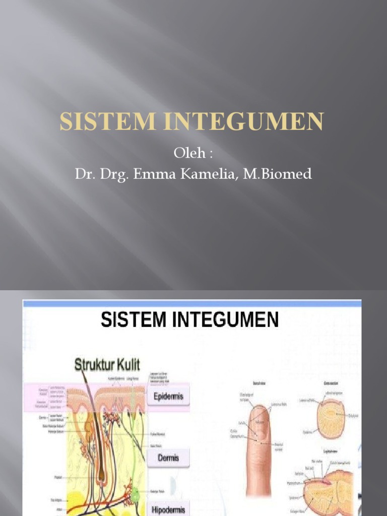 Fungsi dan Struktur Sistem Integumen | PDF | Kesehatan Holistik