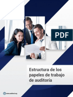 Estructura de Los Papeles de Trabajo de Auditoria