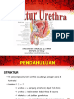 Dr. Mochamad Aleq Sander, M.Kes., SP.B., FINACS: Sertifikasi Dosen: 12107102411578