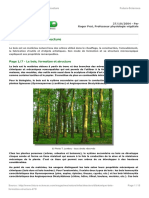 Dossier Le Bois Formation Et Structure F