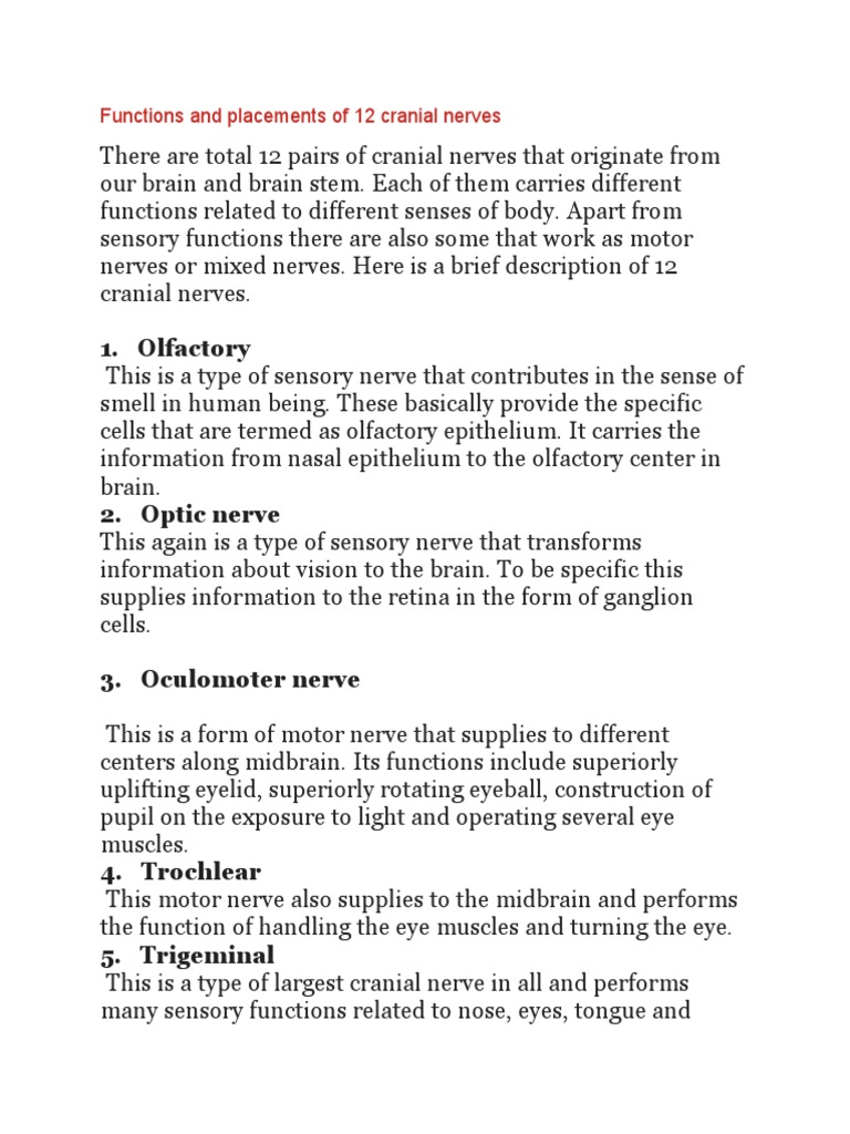 Functions and Placements of 12 Cranial Nerves | PDF | Senses | Neuroanatomy
