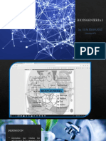 Bioingenieria I s1