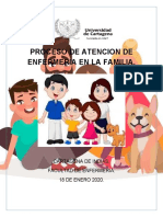 Proceso de Atencion de Enfermeria en La Familia