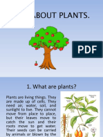 Allaboutplants 151024155216 Lva1 App6891