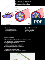 Asquelmintos