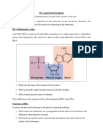 DNA and Protein Synthesis