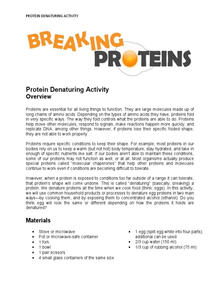 Protein Denaturing Activity PDF Denaturation (Biochemistry) Egg White